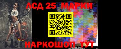 сатива Славгород