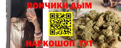 сатива Славгород