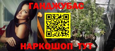 сатива Славгород
