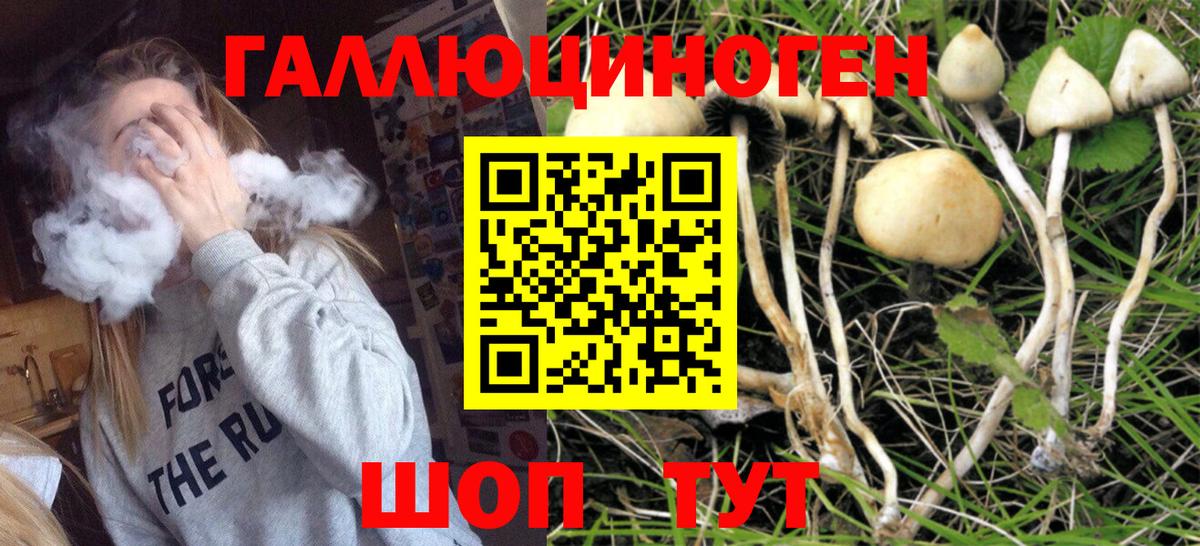 Псилоцибиновые грибы ЛСД Муром